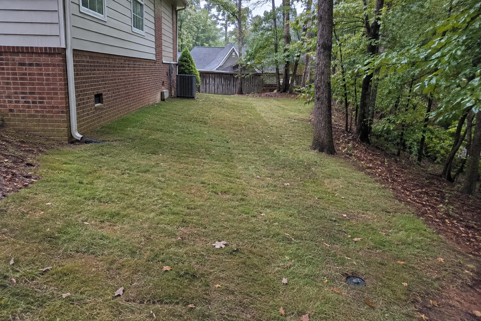 Restored yard with a subtle grassed drainage route